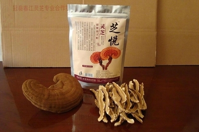 天津灵芝 - 1*8 - 芝悦 (中国 山东省 生产商) - 食用菌 - 农产品及物资 产品 「自助贸易」