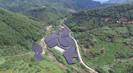 高铁1h,驱车1h只为了吃这顿灵芝养身盛宴!而这背后竟然蕴藏着一个大秘密.