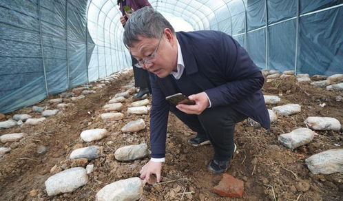 上海市农科院 河南农业大学专家组一行赴光山考察食用菌产业发展